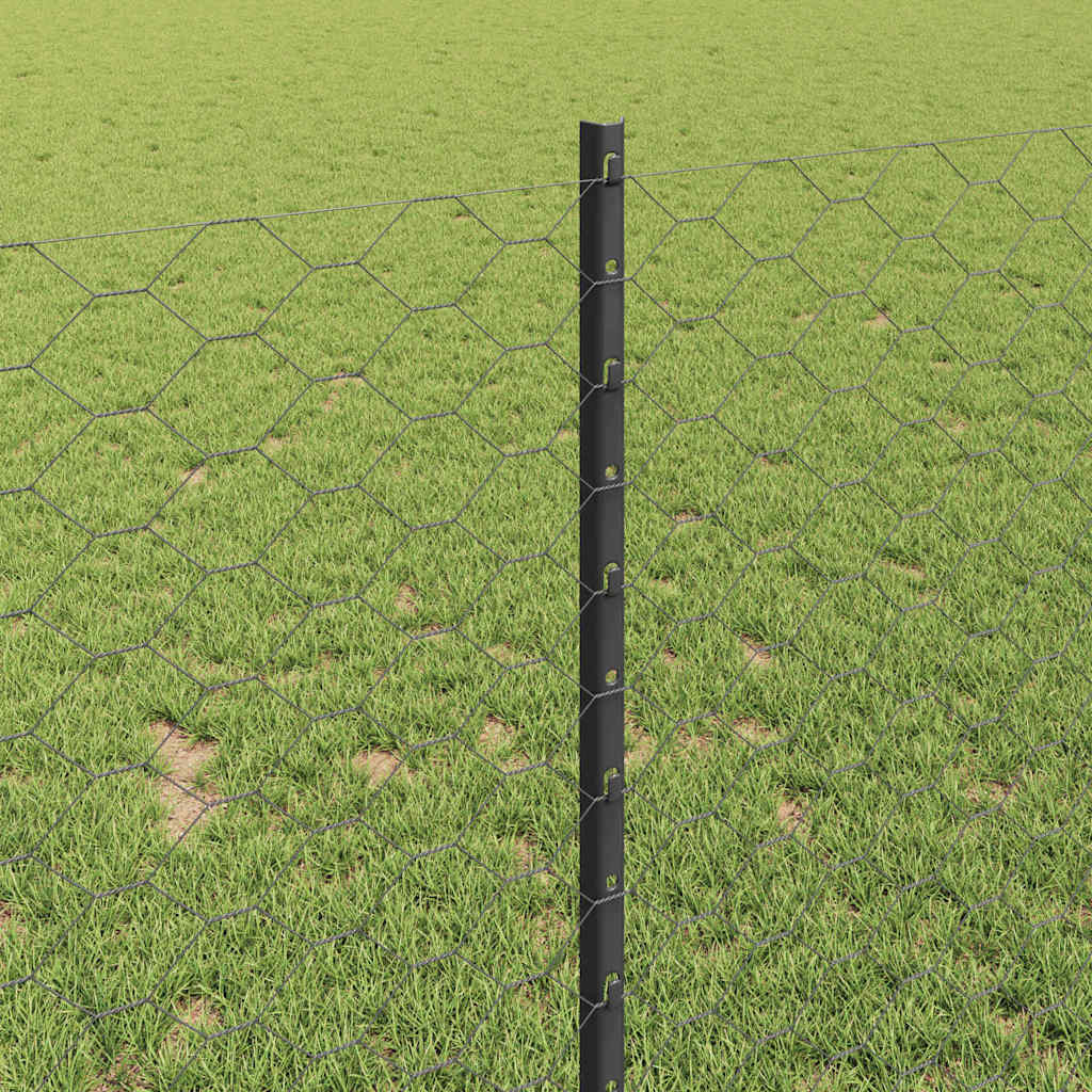 Welded Wire Fence 10 x 1 m (W x H) PVC Coated Steel