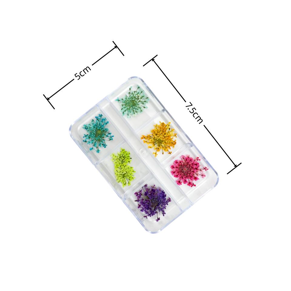 6-Grid Natural Dried Flowers for Nail Art - Japanese Style Sunflower & Baby's Breath DIY Decorations
