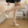 Mary Jane Shoes Women Spring Autumn Thick Heels High Heels Waterproof Platform Hollow Luxury Women's Shoes Pumps