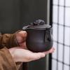 Traditional Zisha Purple Clay Gift Tea Set