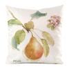 Fruit And Vegetable Hand-Painted Series Digital Printing Short Plush Pillow Covers For Car Sofa Office Cushion Cover Home Goods