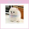 Cute Lace Scarf Pomeranian Plush Doll Children Companion Toy For Kids Comfort And Sleep