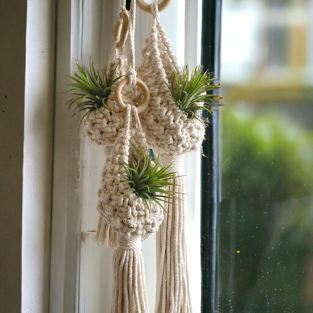 1 Pcs Hand-woven Bohemian Tapestry Net Air Plant Basket for Home Plant Decoration, Holiday Gift