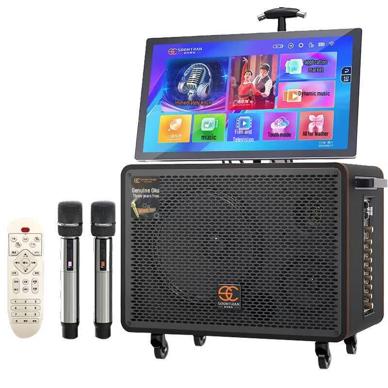 Songchuan SA6-15 15-inch Karaoke All-in-One Speaker (CN version)