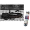 Damoa Test Tube Jigsaw Puzzle Frozen Shipwreck, Korean Popular Puzzles