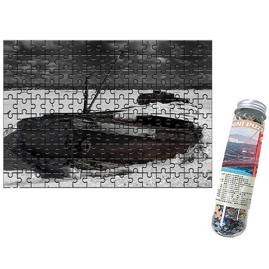 Damoa Test Tube Jigsaw Puzzle Frozen Shipwreck, Korean Popular Puzzles