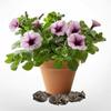 3Pcs Garden Decor Resin Animal Flower Pot Support Plant Pot Foot Plant Stand Bonsai Stand