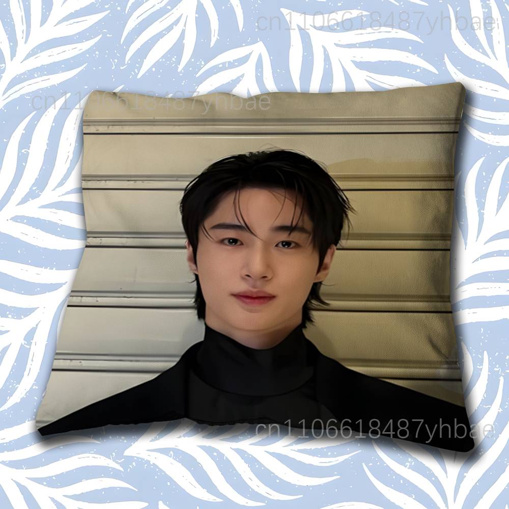 Korea BByeon Woo Seok Cushion Cover Pillow Cover Decor Pillowcase Printed Cushion Case For Couch