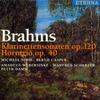 CD BRAHMS, SIMM, CASPER, WEBERSINKE; S - Sonata for Clarinet & Piano  0031852BC Japan Classical Used