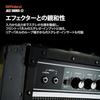Roland/JC-22 Roland Guitar Amp Jazz Chorus 30W