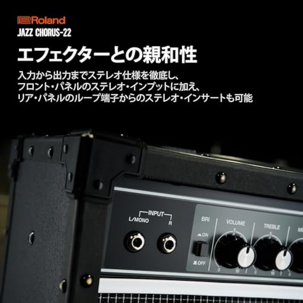 Roland/JC-22 Roland Guitar Amp Jazz Chorus 30W