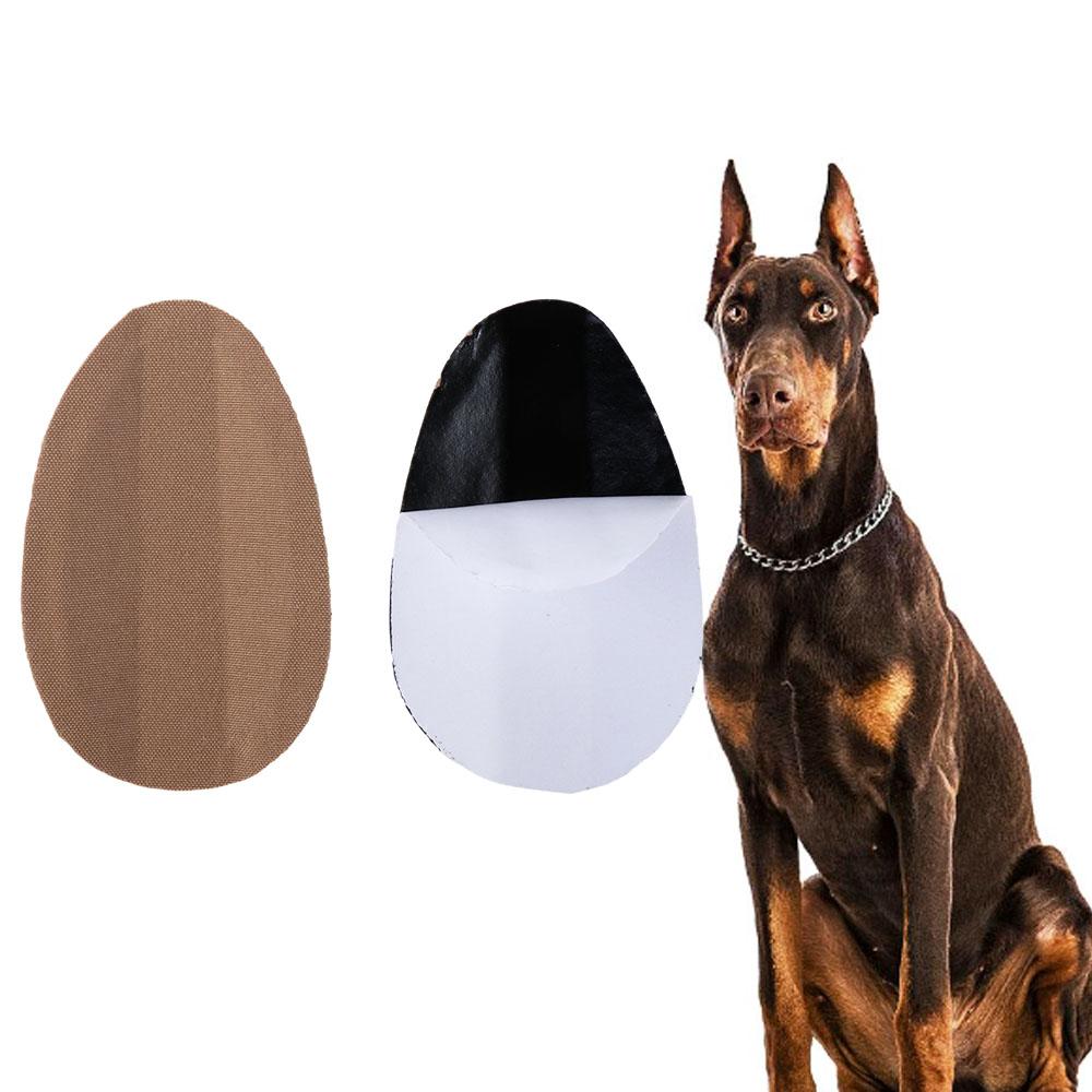Correction Doberman Correct Dog Ear Stand Up Stickers Ear Care Tools Dog Ear Erector Dog Supplies