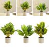Листовой Зеленый Комнатные растения для вечеринки в саду в горшках Домашнее украшение