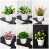Evergreen False Plant Pot Fake Flower Simulation Flower Pot Mini Small Potted Plants  Home