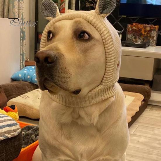 Children Hat Winter Pet Cap Knitted High Elasticity Keep Warm Solid Color Ear Decor Toddler Boys Girls Beanie Photo Prop Headwear