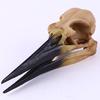 Череп птицы динозавра, изделия из смолы, Таро, ворона, череп, украшение, скелет динозавра