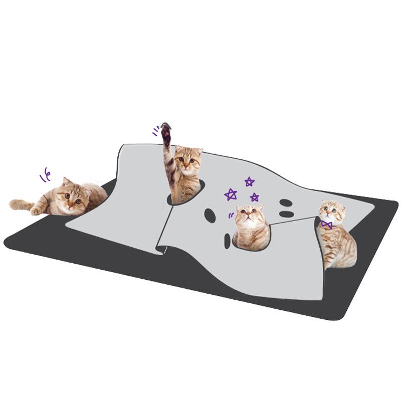Pet Play & Bite Mat - Cat Litter & Kitten Activity Mat