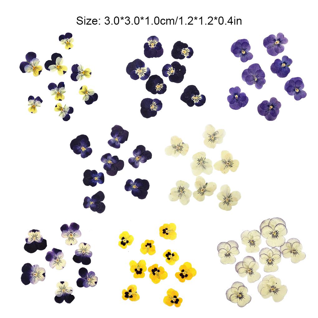 12 предметов Crafts Simple Style Make Accessories Украшение для макияжа Прессованные цветы Craft Jewelry Decor Accessories