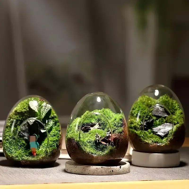 1PC Hydroponic Fleshy Micro Landscape Glass TerrariumCreative Egg-shaped Glass Bottles Succulent Glass Vase Moss Home Decoration