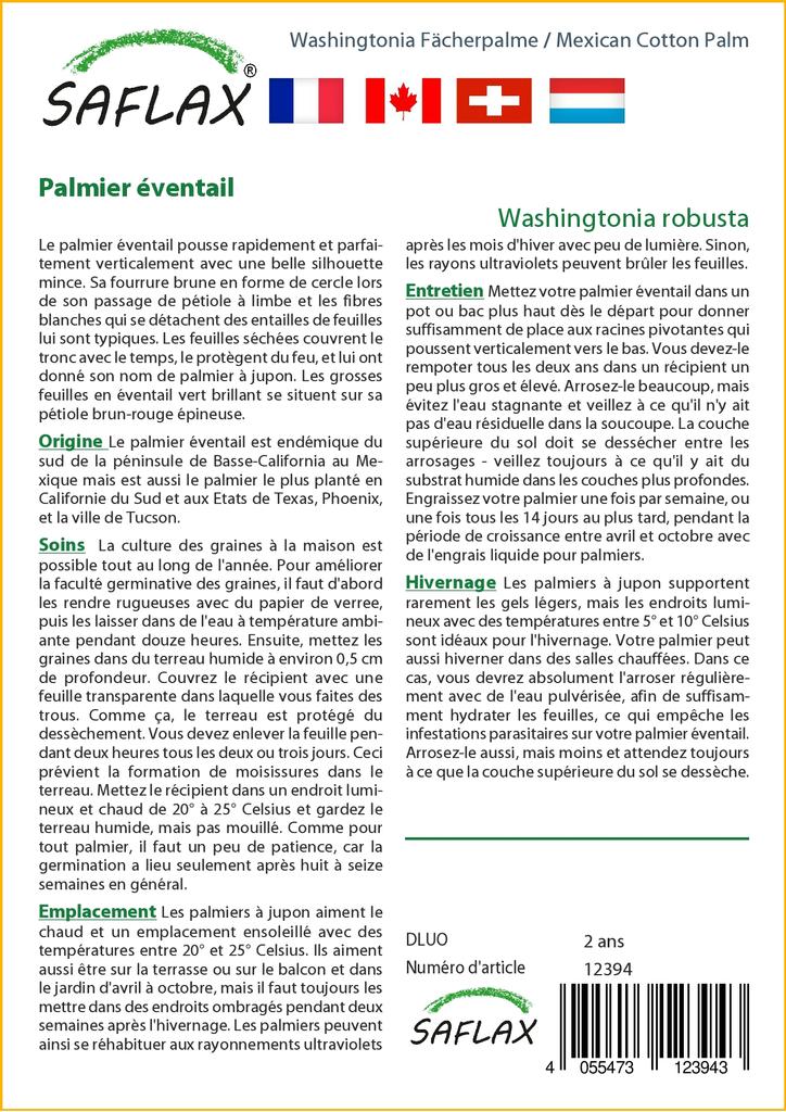 SAFLAX Мексиканская хлопковая пальма - 12 семян - Вашингтония робуста