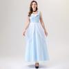 New Adult Ladies Fairy Tale Cinderella Princess Dress Cosplay Costume