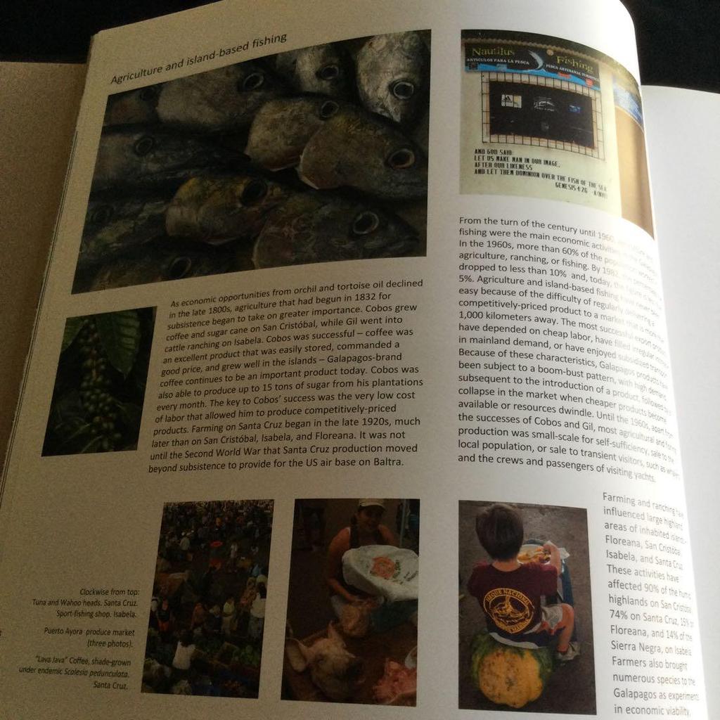 [Б/У] Фотоколлекция Галапагосских островов Природа Южная Америка Животные Иностранные книги Английский Эквадор Океан Вулкан Книга