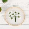 DIY Dandelion Needlework Plants Flowers Paintin Embroidery Sets Cross Stitch Kits Yarn Embroidery