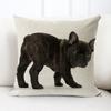 Throw Pillowcase with Hidden Zipper Wear Resistant Washable Non-Fading Animal Dog Print Cushion Cover Pillowslip