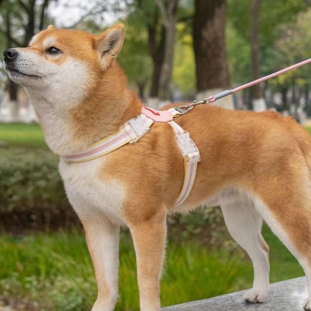 Adjustable Dog Chest Strap Multi-color Pet Walking Vest Dog Harness and Leash Set Outdoor Walking
