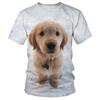 Мужские и женские уличные футболки с рисунком золотистого ретривера, милые собаки с 3d принтом, дышащие легкие летние спортивные топы большого размера