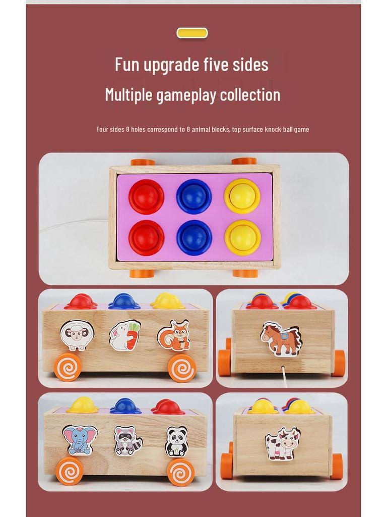 Ферма Сад Форма Конструктор и Набор Игрушек для Ловли Червей для Детей