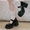 Brown Retro French Heightened Platform Small Leather Shoes Women's New Autumn Thick Heel Mary Jane Light Mouth Single Shoes