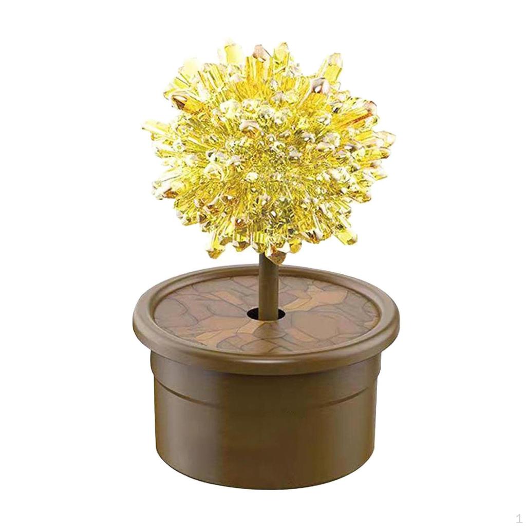 Набор для выращивания кристаллов Образовательная игрушка Научный проект Эксперименты Наборы для