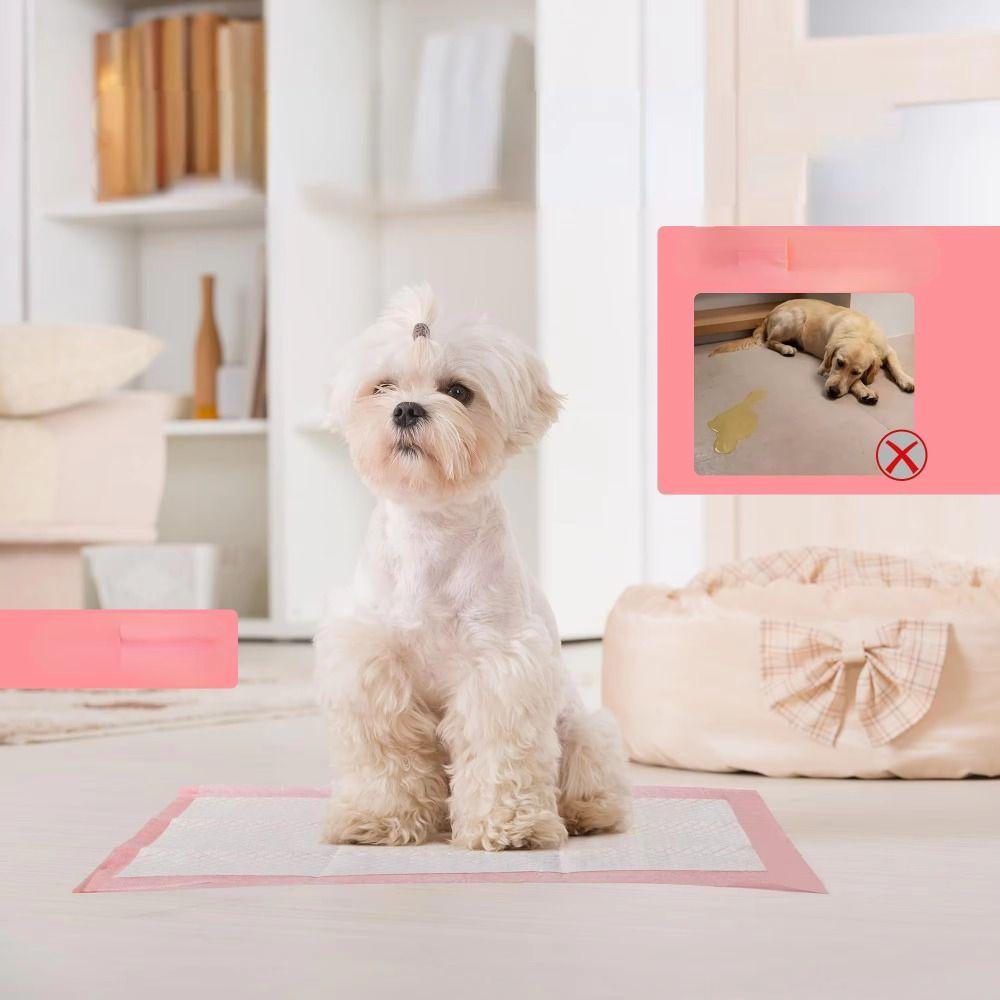 100PCS Disposable Dog Training Pee Pad Super Absorbent Urine Nappy Mat Diaper Mats  Toddler