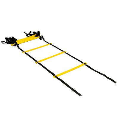 Набор для тренировки ловкости Long Zhan Football Training Agility Ladder Set