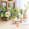 3Pcs Air Plant Holder Desktop Decor Decorative Supplies, Ornament Simple Display Rack Stand
