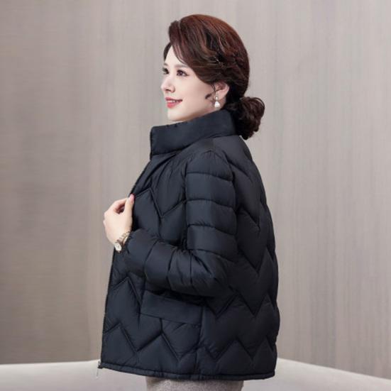 Пальто с хлопковой подкладкой, воротником-стойкой, длинными рукавами, застежкой-молнией, теплая зимняя куртка с карманами, однотонная утолщенная стеганая верхняя одежда