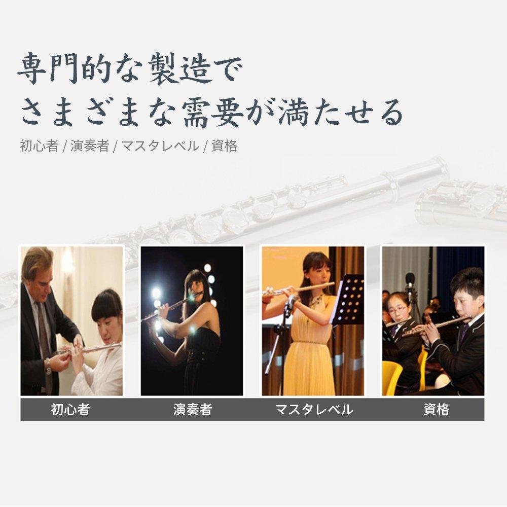 Enhong Флейта 16 отверстий До тональность Покрытая ко Дню Благодарения Рождеству Набор для влюбленных Мельхиор Начинающий/Продвинутый/Музыка (Серебряный)