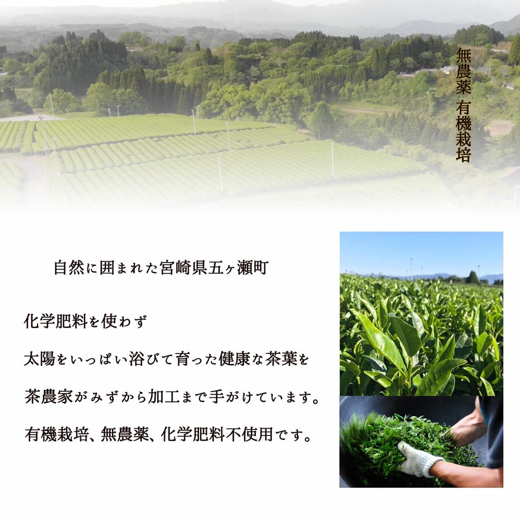 Miyazaki Sabo съедобный зеленый чай органический сертифицированный JAS без пестицидов набор из 3 пакетиков