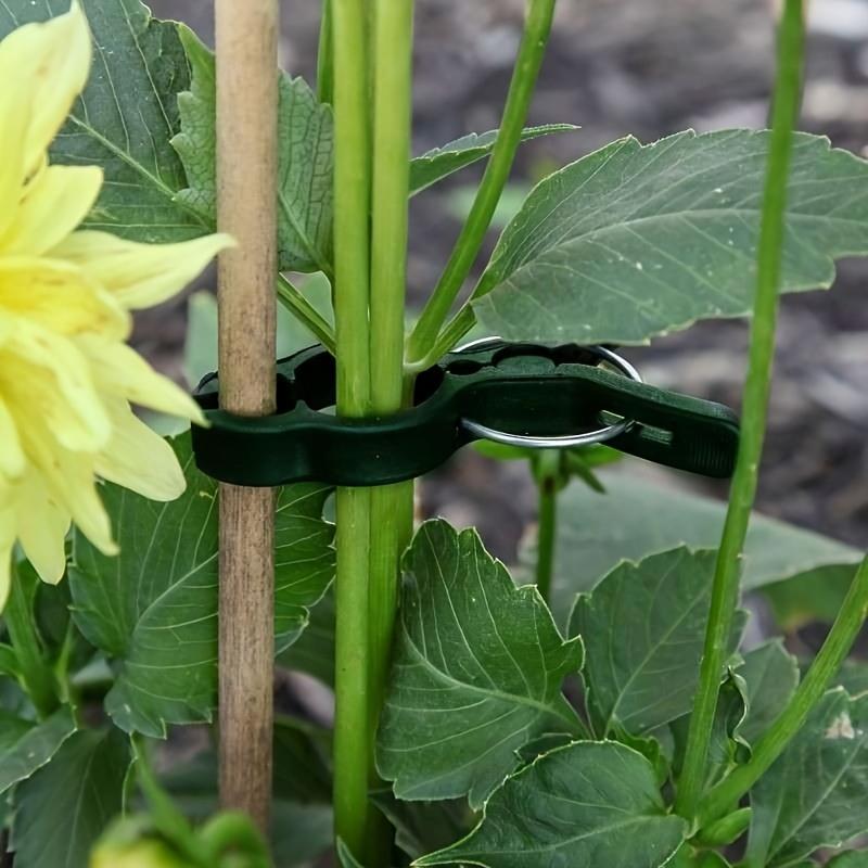 20 шт., безопасные пластиковые зажимы для растений, зажимы для поддержки растений, зажимы для вьющихся растений, тонкая веревочная сетка, садовые зажимы, зажимы для виноградной лозы