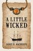 Книга A Little Wicked
