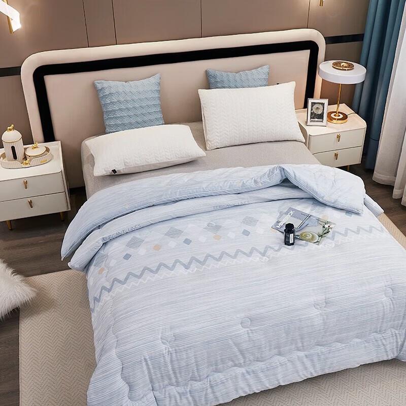 Tangna All-Season Cationic Feather Silk Cotton Quilt