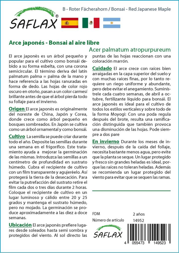 SAFLAX Garden in the Bag - Бонсай - Красный японский клен - 20 семян - С субстратом в подходящем мешке - Acer palmatum
