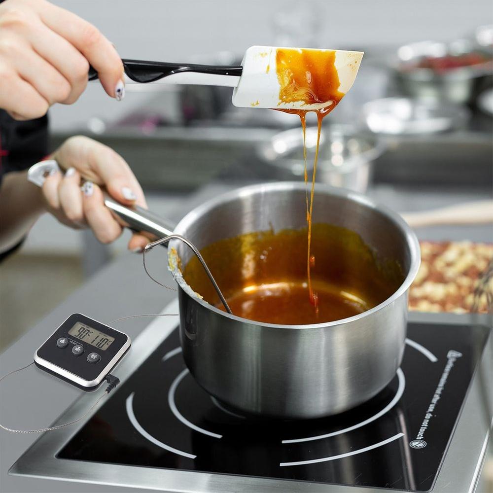 Electronic Kitchen Thermometer Probe Skewer for Meat and Roast Dishes