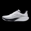 Nike Men's Road Running Shoes II7210-100