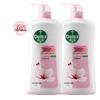 Dettol Moisturizing Care Shower Gel (2 X 950g)
