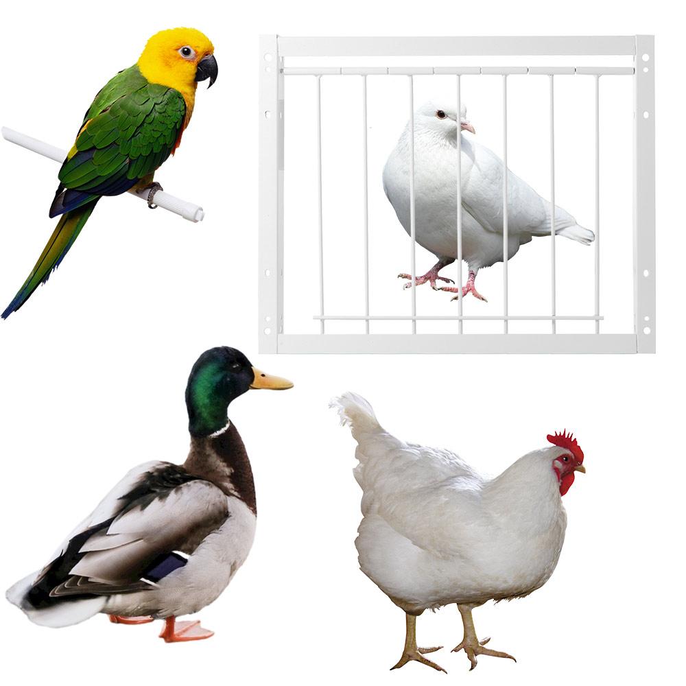 Металлический каркас из проволочных стержней 30/40x26см Дверь голубятни Съемная Одиночный вход Входная дверь для голубей Ловушка Дверь-ловушка Клетка для птиц