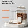Automatic Cat Feeder And Water Dispenser 2-in-1 Detachable Non-Electric Pet Food Feeder And Waterer Set for Cats And Small Dogs