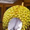 Comfortable Simulation Durian Hat Soft Cartoon Plush Hat Durian Headgear  Cross-dressing Shows