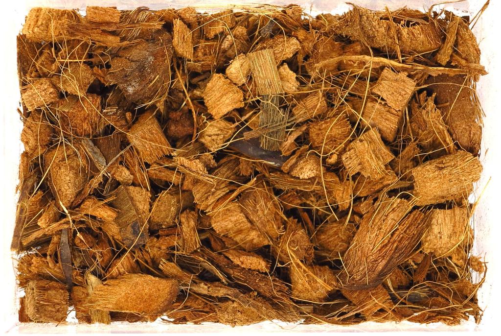 Of 3 Husk Chips Flooring Material for Reptiles and Insects High Deodorizing Power Manufactured Product [Set Bags] LeA&K 10L*3 *Domestic